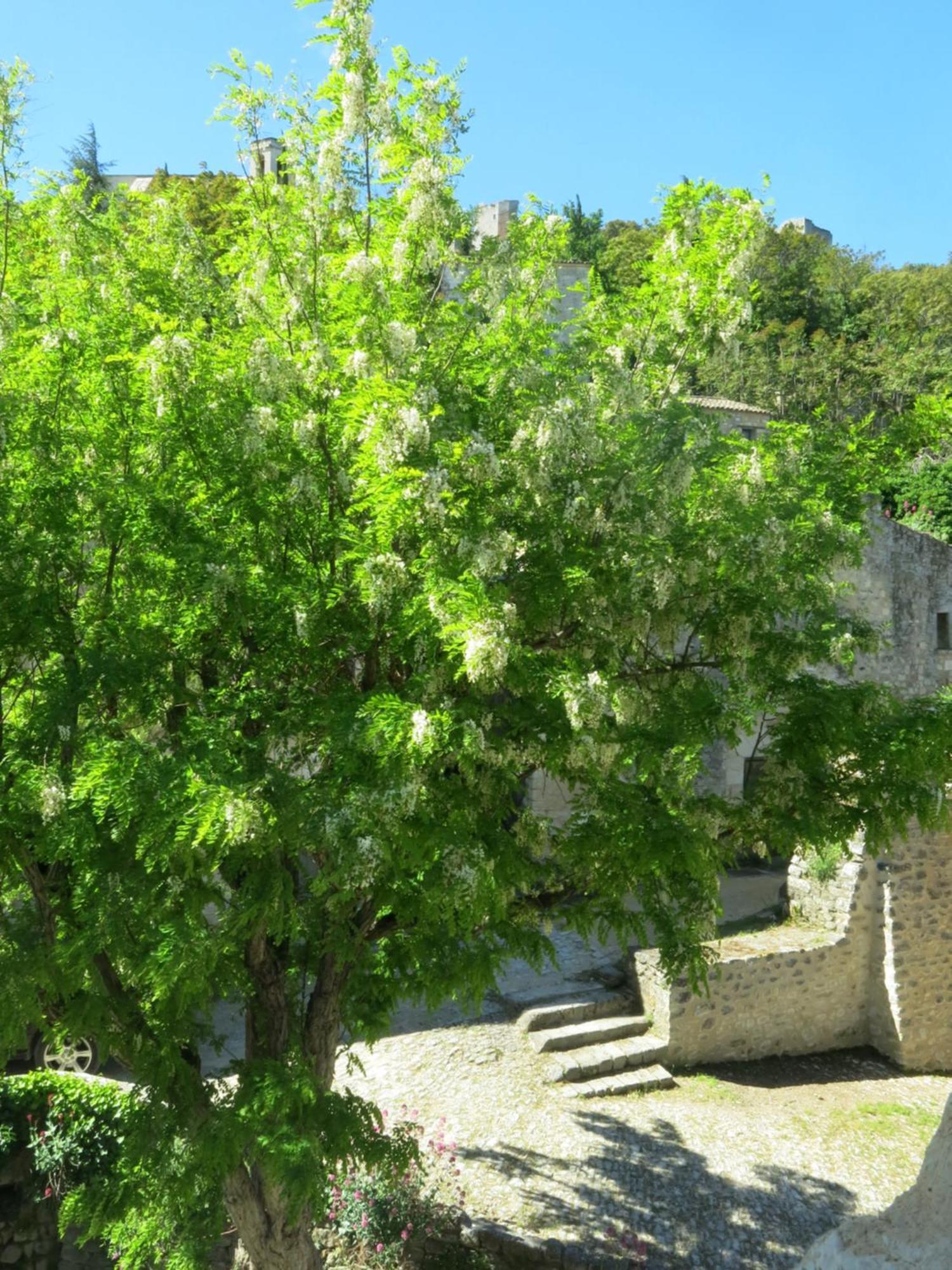 La Buissonniere